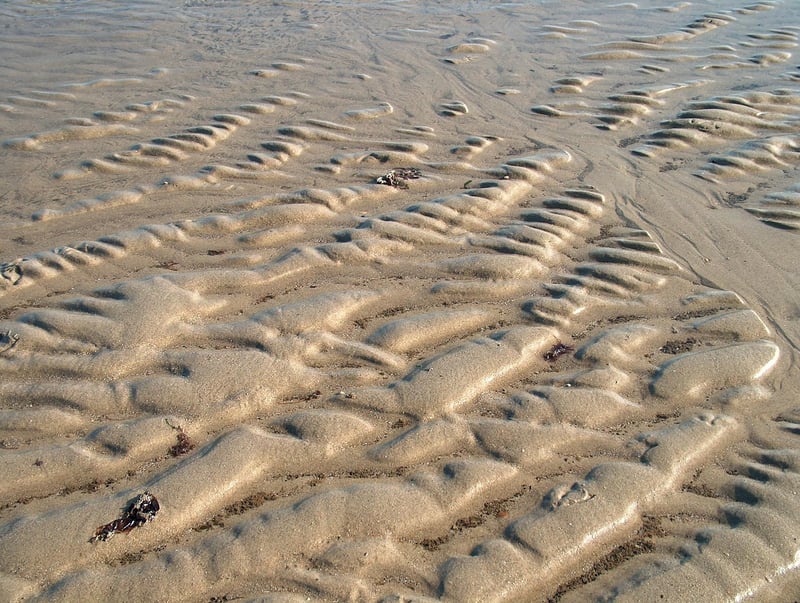 Yosemite National Park